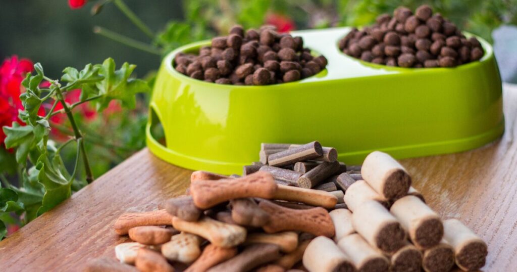 Complément alimentaire pour chien