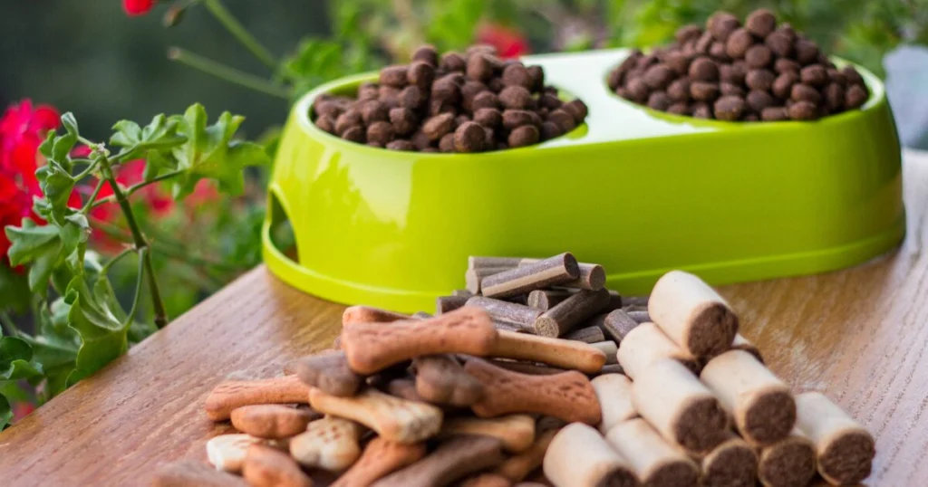 Complément alimentaire pour chien